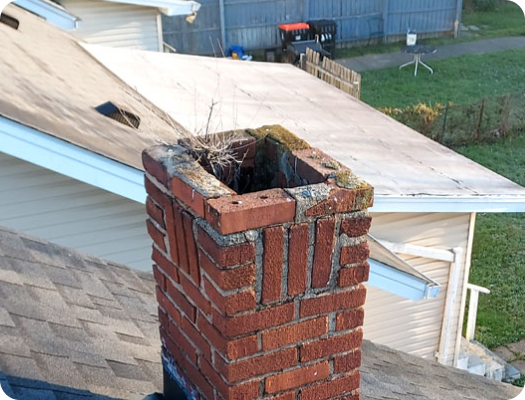 Birds on the chimney