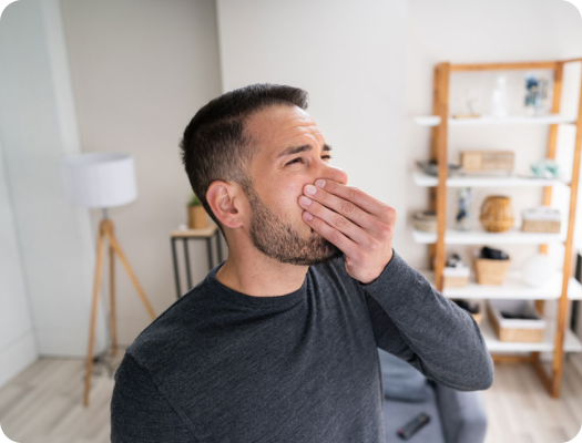 Wildlife odors in house